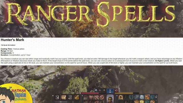 Baldur's Gate 3 Ranger Class Guide Early Access смотреть онлайн