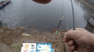 КОКИНО.Ловля форели на маленьком водоеме