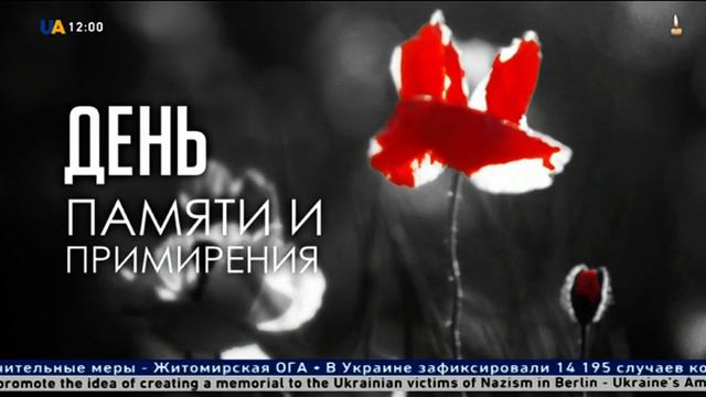 День памяти и примирения. Минута молчания (UA, 08.05.2020)