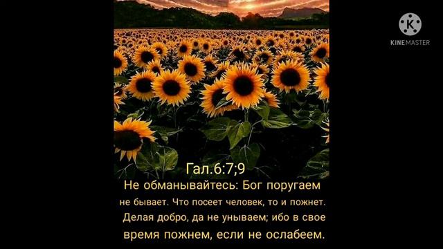 ВСЁ ПРО МИЛОСТЫНЮ: ЧТО БУДЕТ ТЕМ, КТО ТВОРИТ ЕЁ, И КОМУ НАДО ДЕЛАТЬ. смотреть онлайн