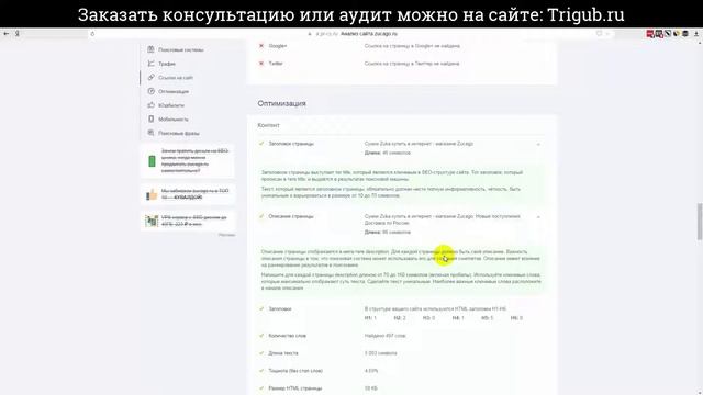 SEO-аудит сайта. Интернет-магазин сумок. Проверка сайта на SEO-ошибки.