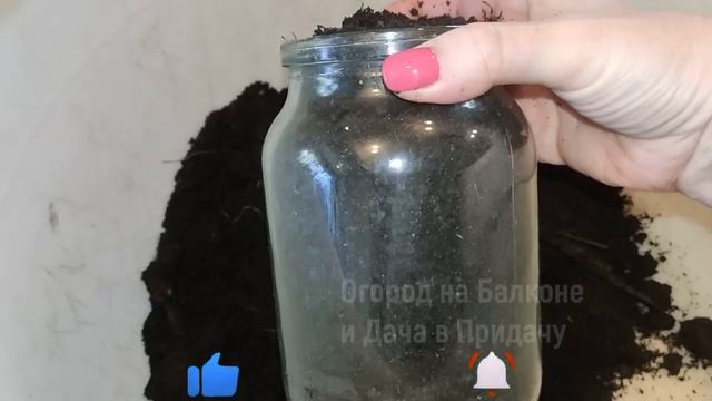ЖАЛЕЮ, что Раньше ТАК НЕ выращивала ОГУРЦЫ! Теперь Сажаю ТОЛЬКО ТАК, и Всегда Отличный Урожай!