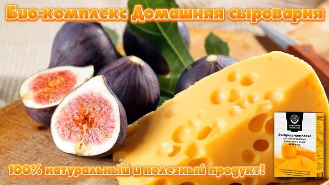 Сколько стоит домашняя сыроварня.