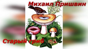 Старый гриб. М. Пришвин.