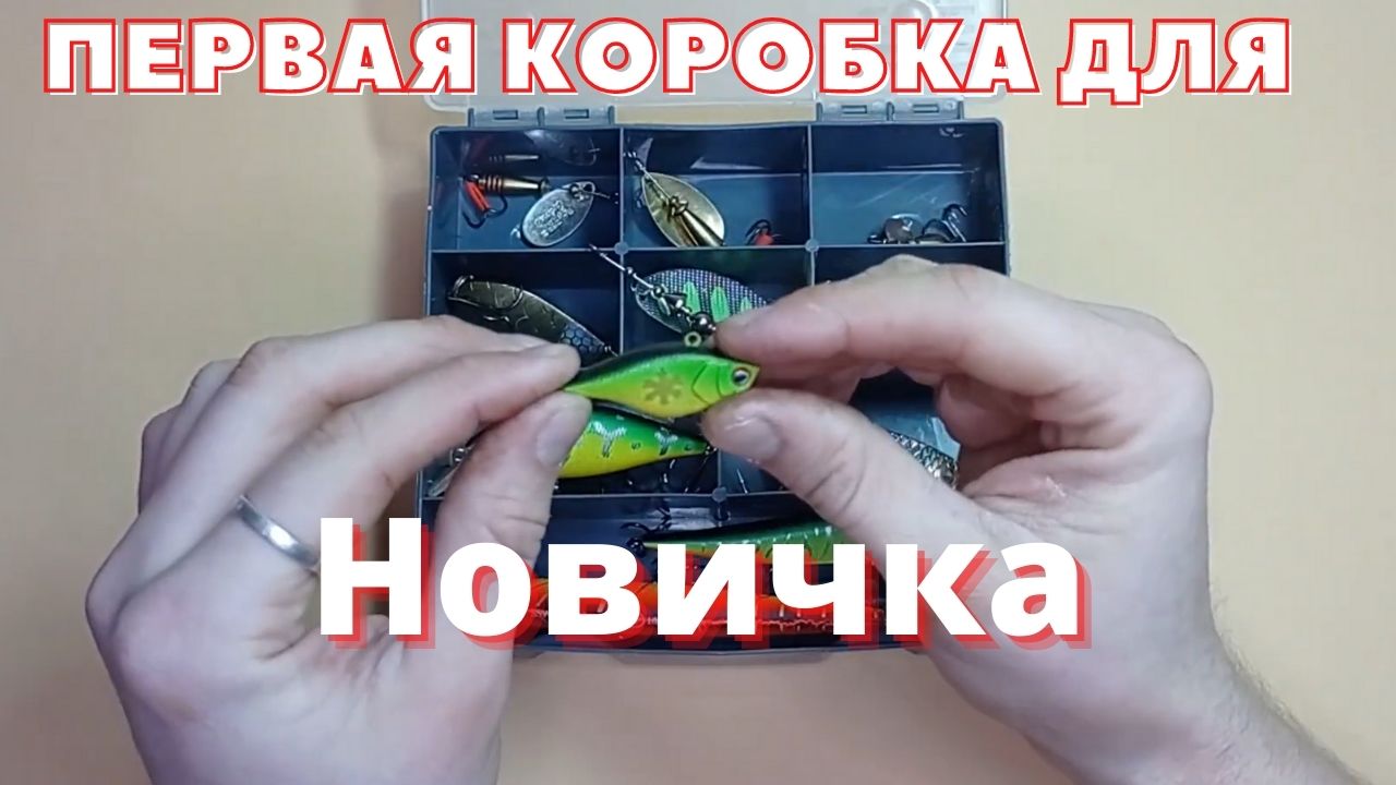 Развив набор. Модель ссср 1 43 ваз 2105 а39. Набор собери сам. Робот бондибон 6в1. Машинки собери сам.