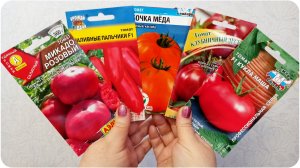 Какие сорта томатов буду сеять на рассаду в этом году. Апрель 2023 г.