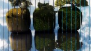 Stive Morgan "Alien Worlds". Красивая космическая музыка!!!  Обучаю ЦиГун, инвестированию, ТРЕЙДИНГ