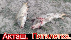 Рыбалка в Дагестане. Ловля сазана в Акташе.