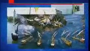 Воронежское водохранилище купили китайцы