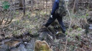 ПЛАНЕТА ТАЙГА   Тигровый дом