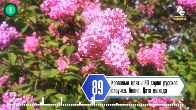 Кровавые цветы 248 на русском языке. Дилар и баран фото Кровавый цветок.