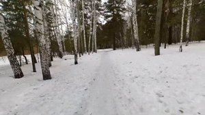 Электрофэтбайк 2000ватт разогнался по лесу до 36км/ч!!!