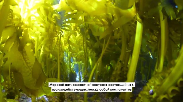 DALTON MARINE COSMETICS смотреть онлайн