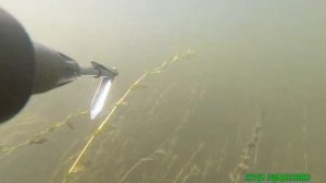 Река Сим.Подводная охота в июле