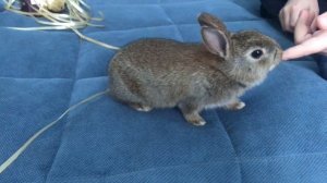 День рождение. Что подарить ребёнку на 8 лет