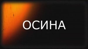 Осина, Оркестр A 2022