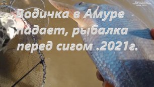 Водичка в Амуре падает, рыбалка перед сигом .2021г..mp4