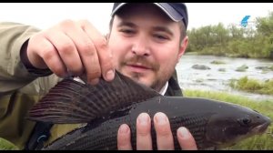 Рыбалка на Кольском полуострове. Мурманск 2014 г. 1 часть .