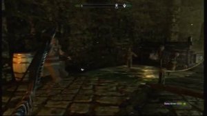 Skyrim: How to get any arrow unlimited faster then in solitude