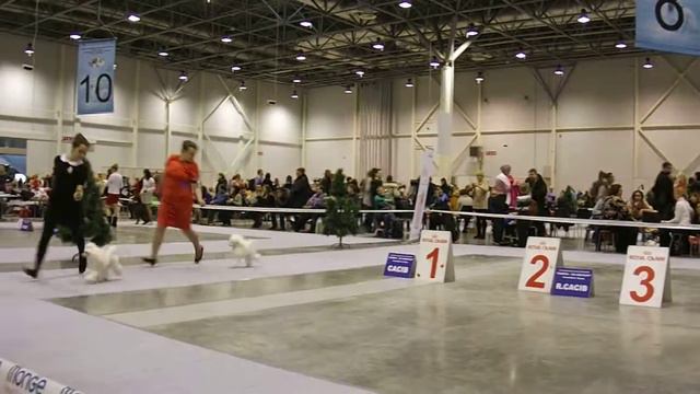 907 & 908 Международная выставка в Новосибирске, 11.12.16 смотреть онлайн