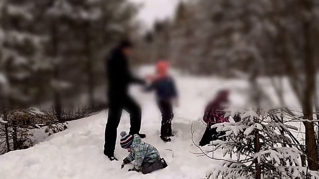 VLOG | Карелия весной | Весенняя прогулка в лесу |Зима-весной