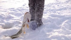 Рыбацкое счастье 2