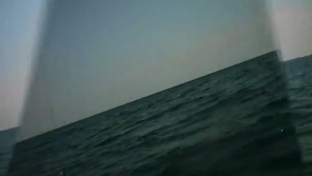 Kayak Sharks and Kings off Galveston Tx