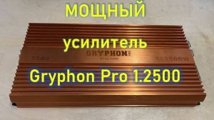 Обзор, прослушка Gryphon Pro 1.2500 V.2