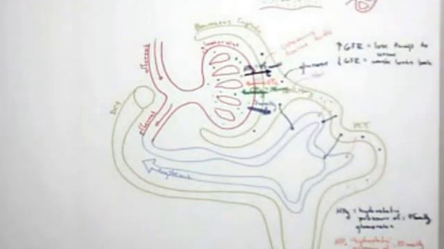 2 Excretion 2 смотреть онлайн