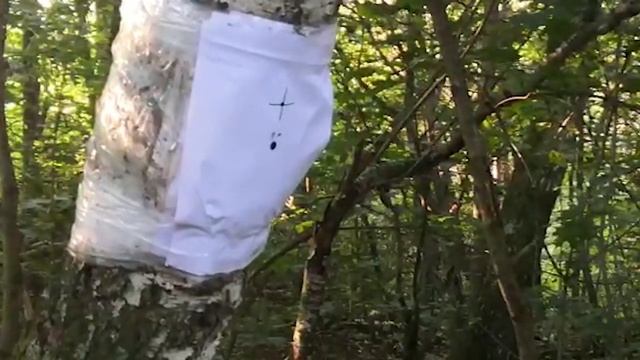 ИЖ-60 кит крюгер отстрел на кучность