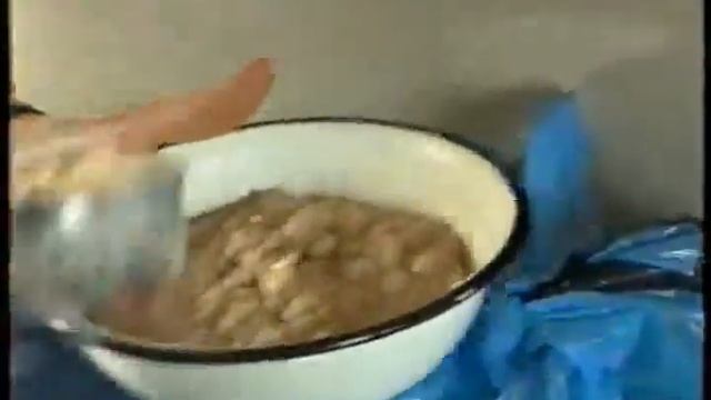 Веселые картинки турклуба Сампо смотреть онлайн