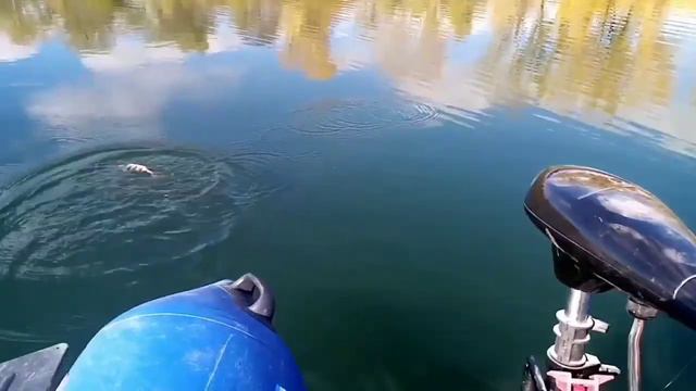 мормышинг🤭, нет, микроджиг😊на Урале смотреть онлайн