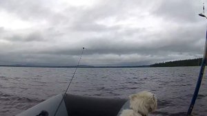 Викинг 350 Про