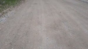 Наш город Павлоград/Пол дня проездили/Устали 😊