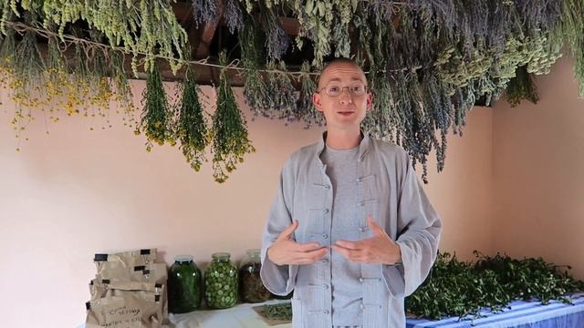 Пятиминутка. О сушке для лекарственных растений. смотреть онлайн