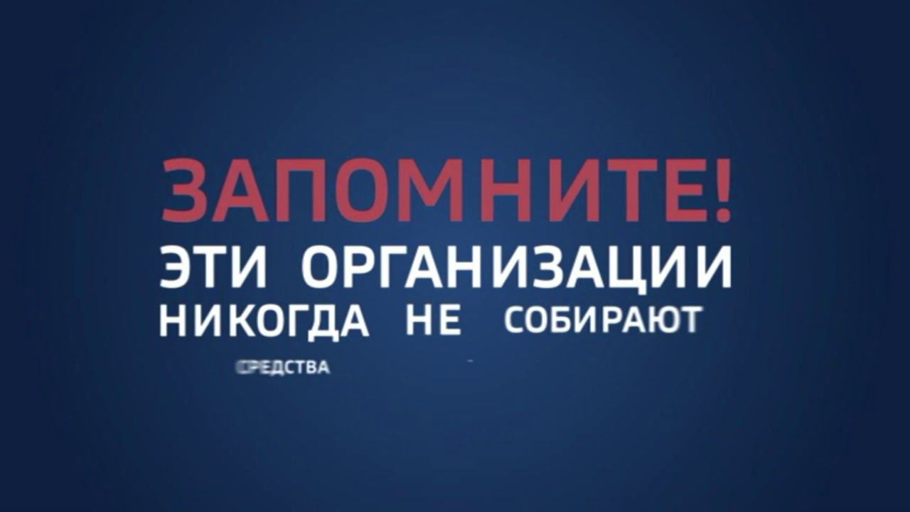Осторожно, социальное мошенничество. профилактический видеоролик