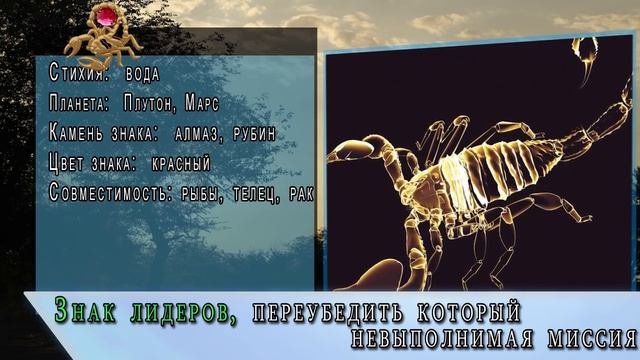 Какой знак зодиака самый коварный? | Гороскоп знаки зодиака скорпион