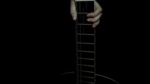 Misfits - Living Hell (Acoustic Cover)