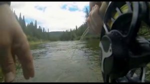 Атлантический лосось - Король реки