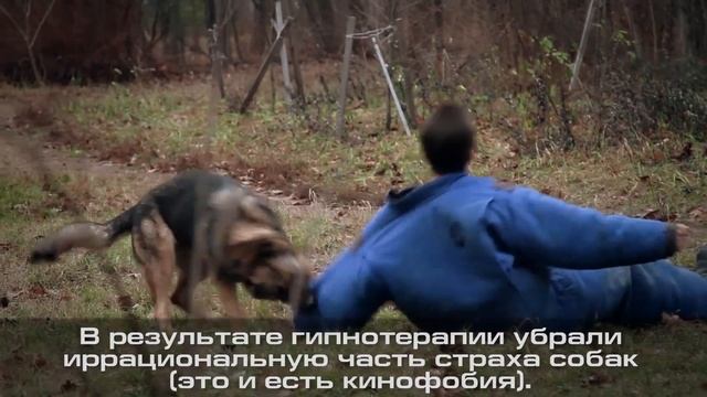 Гипноз: отзыв о лечении фобии собак (кинофобия).