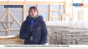 Чувашский "Коминтерн": миллионы на новую технику, телеогрейки для телят, "карусель" для коров, путе