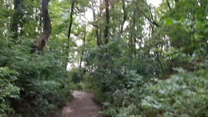 КАК НАЧАТЬ ПРОДАВАТЬ ФИАЛКИ??? Бизнес на растениях.