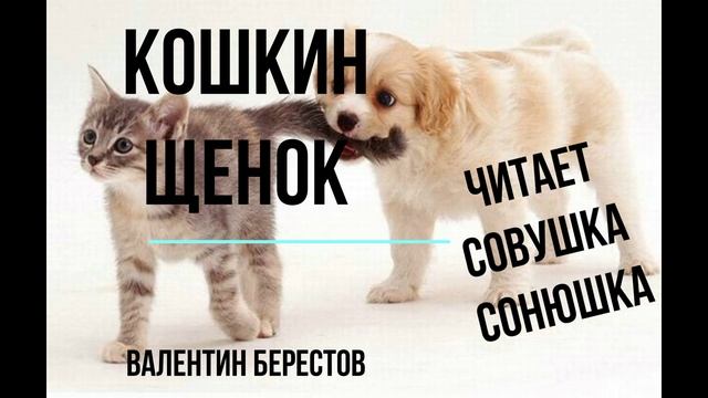 Валентин Берестов - Кошкин щенок