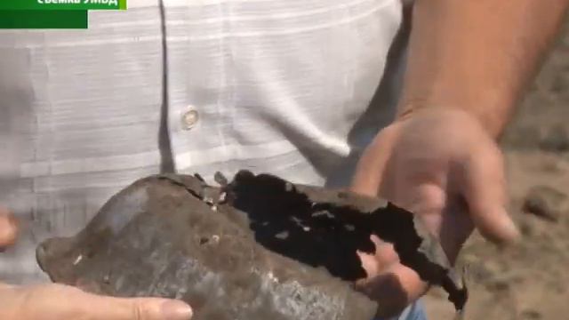 Владимир Колокольцев наградил курянина за поисковую работу смотреть онлайн