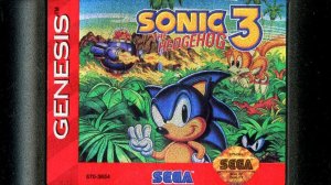 Прохождение игры  Sonic the Hedgehog 3  SEGA