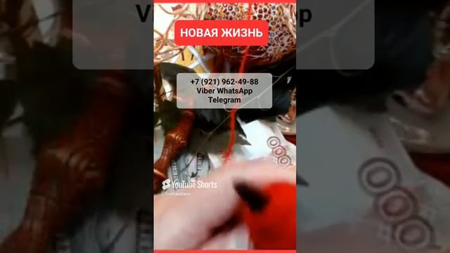 НОВАЯ ЖИЗНЬ ДЕНЬ ИВАНА КУПАЛА #онлайн #ритуал #shorts #светланаведа смотреть онлайн