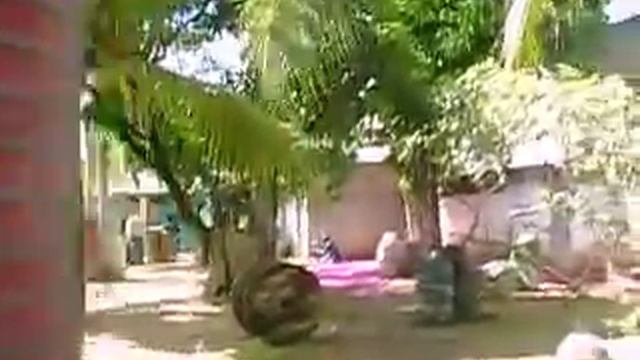 Shooter Paint Ball Olinda - 30/05/2009 смотреть онлайн