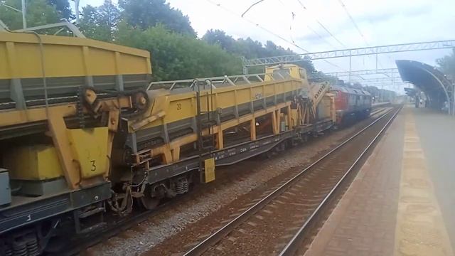 Вот такого красавчика. Мы встретили на станции Строитель. Ярославское направление (09.07.23) ?????? смотреть онлайн