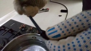 Тонкости работы с микротрубкой 3х5 и 4х6 мм. Полив33.рф