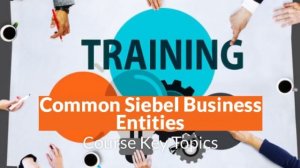 SIEBEL CRM Business Analyst
 2 Months weekend class OR 5 Days Boot camp